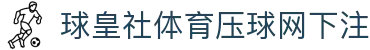球皇联赛数据站-英超西甲欧冠比分、今日足球赛程与积分榜速查